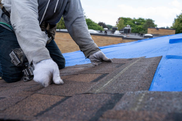 Best Metal Roofing Installation  in Waynesboro, VA